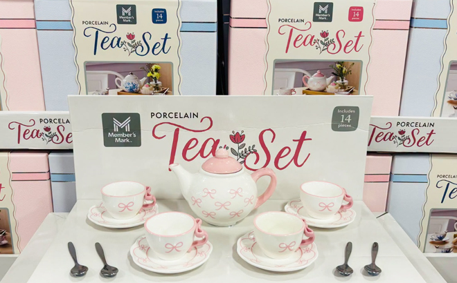 Members Mark 14 Piece Porcelain Tea Set