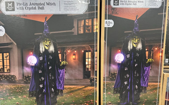 Members Mark Pre Lit Animated Witch