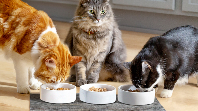 Mew Mix Dry Cat Food