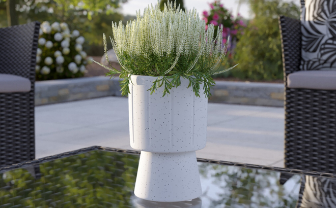 Origin 21 Round 4 Inch White Ceramic Planter Origin 21 Round 4 Inch White Ceramic Planter