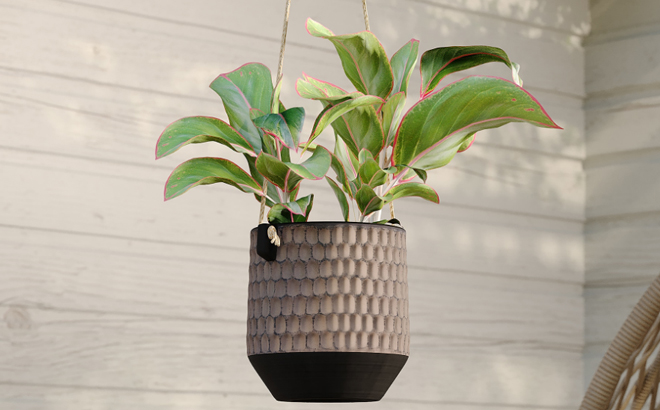 Origin 21 Round Brown Ceramic Planter Origin 21 Round Brown Ceramic Planter
