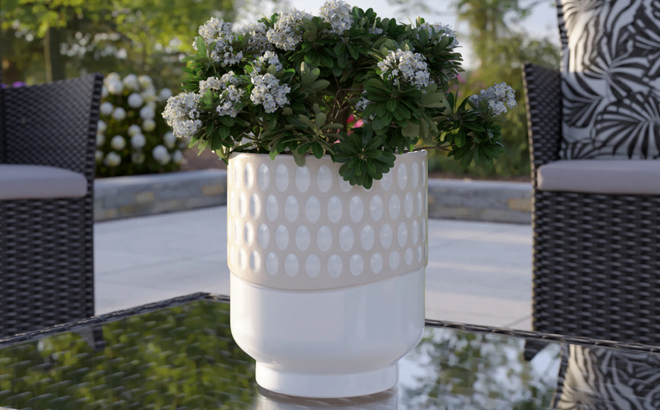 Origin 21 Round Cream Ceramic Planter Origin 21 Round Cream Ceramic Planter