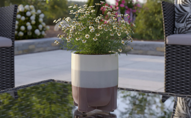 Origin 21 Round White and Tan Ceramic Planter Origin 21 Round White and Tan Ceramic Planter