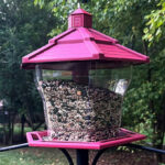 Pennington Earth Smart Recycled EcoGazebo Bird Feeder in the Park