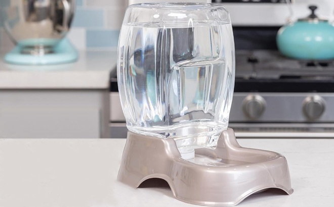 Petmate Extra Small Pet Water Dispenser
