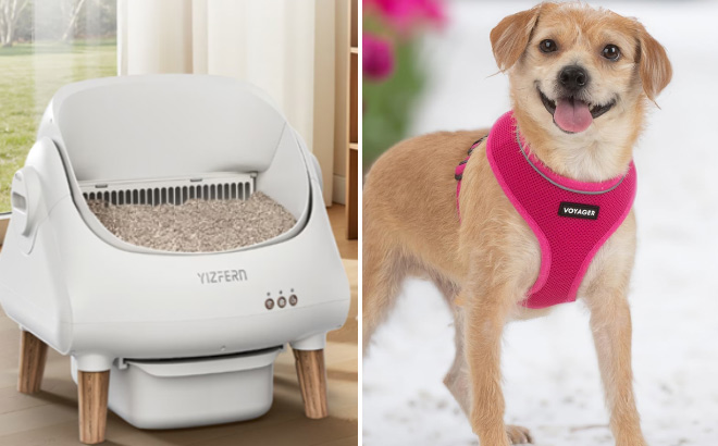 Smart Self Cleaning Cat Litter Box Smart Self Cleaning Cat Litter Box