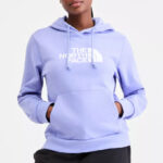 The North Face Womens Evolution Half Dome Hoodie