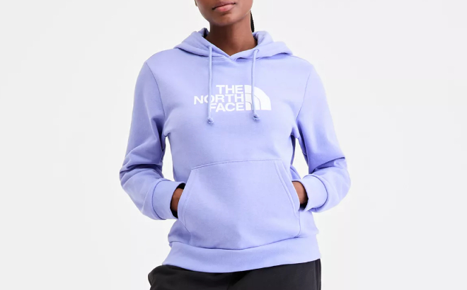 The North Face Womens Evolution Half Dome Hoodie The North Face Womens Evolution Half Dome Hoodie
