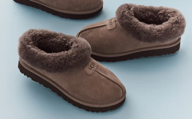 UGG Tazzette Genuine Shearling Collar Slippers in Caribou Color