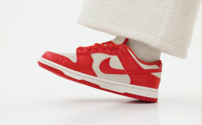 a Person Wearing Womens Nike Dunk Low LE Casual Shoes