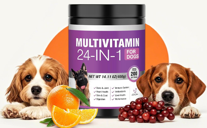 24 in 1 Dog Multivitamin 200 Count on the Table 24 in 1 Dog Multivitamin 200 Count on the Table