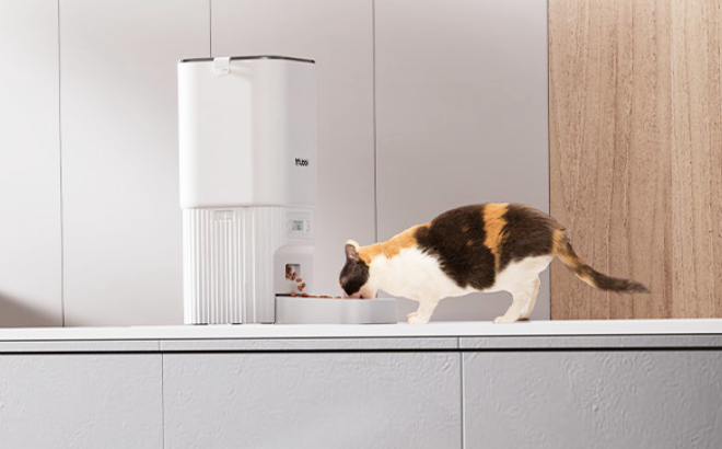 7L Automatic Cat Feeder 7L Automatic Cat Feeder