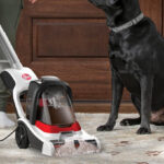 A Person Using the Hoover PowerDash Pet Compact Carpet Cleaner