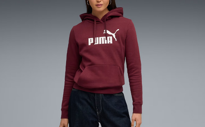 A Person Wearing PUMA Essentials Womens Hoodie A Person Wearing PUMA Essentials Womens Hoodie