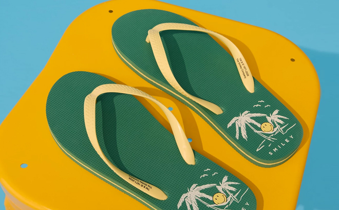 American Eagle Smiley Flip Flops