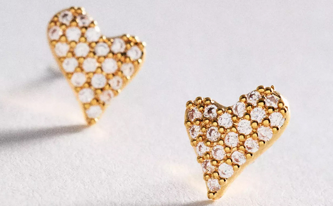 Anthropologie Icon Post Earrings Floral Edition