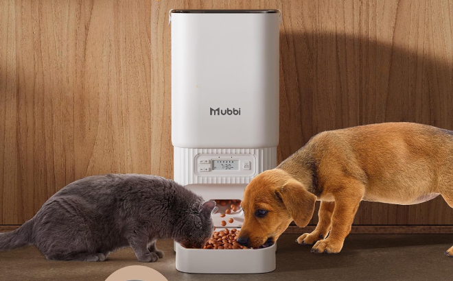 Automatic Cat Feeder