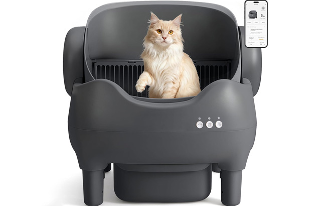 Automatic Self Cleaning Cat Litter Box