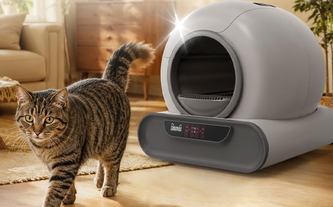 Automatic Self Cleaning Litter Box on the Floor