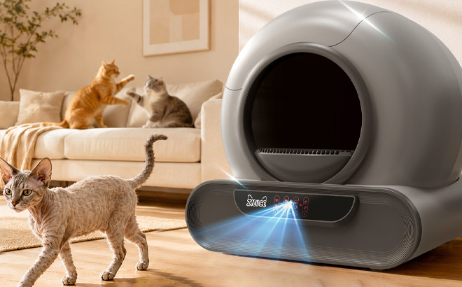 Automatic Self Cleaning Litter Box Automatic Self Cleaning Litter Box