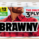 Brawny Tear A Square Paper Towels 6 Double Rolls