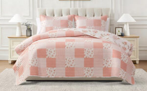 Chelsea Loft Pinsonic Patchwork Reversible 2 Piece Quilt Set