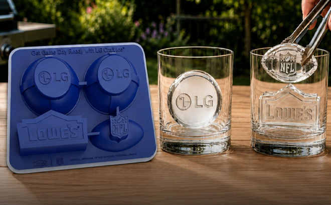 Craft Ice Mold by LG