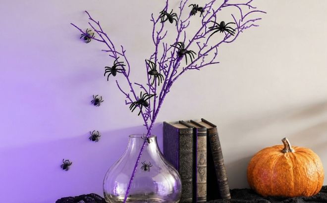 Free Spider Stem at World Market