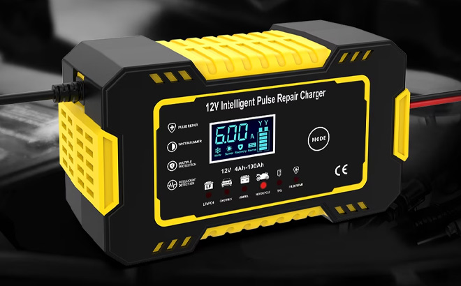 GPED Automatic Battery Charger