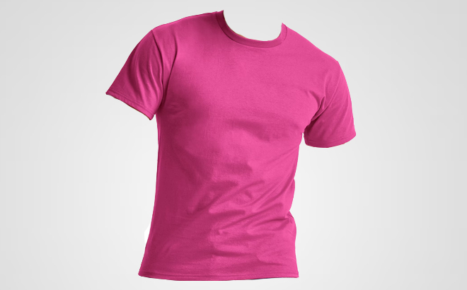 Hanes Essentials MensShort Sleeve T Shirt Hanes Essentials MensShort Sleeve T Shirt