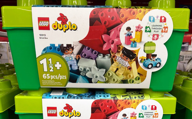 LEGO Duplo Brick Box