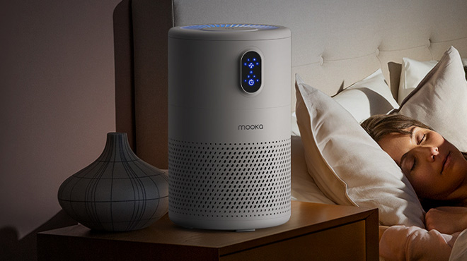 Large Room Air Purifier Large Room Air Purifier