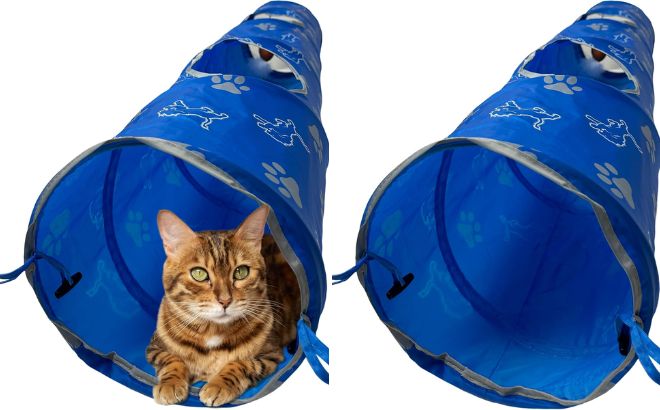 NFL Detroit Lions Cat Tunnel Tube Toy