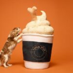 Petco Pumpkin Spice Latte Pup Cup
