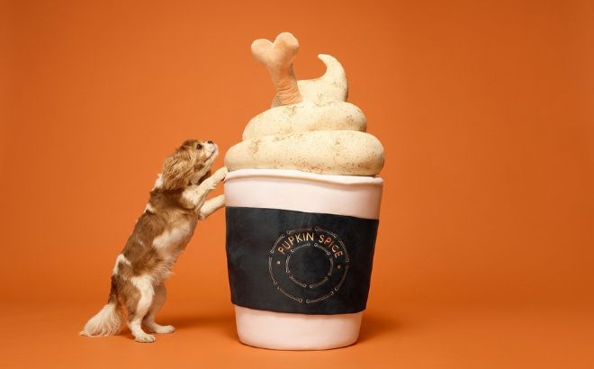Petco Pumpkin Spice Latte Pup Cup