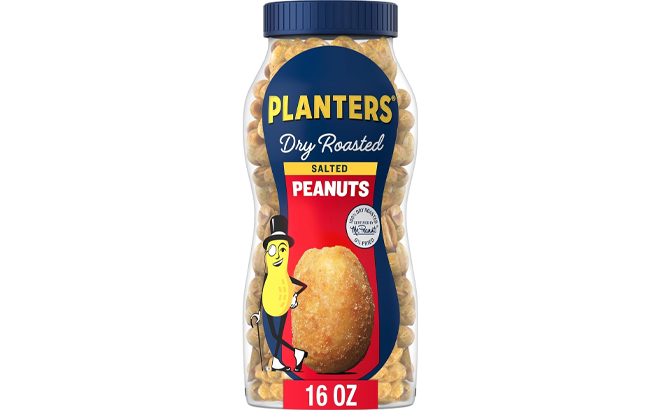 Planters Salted Peanuts 16oz