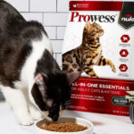 Prowess nulo All In One Dry Cat Food Sample
