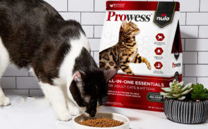 Prowess nulo All In One Dry Cat Food Sample