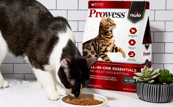 Prowess nulo All In One Dry Cat Food Sample Prowess nulo All In One Dry Cat Food Sample