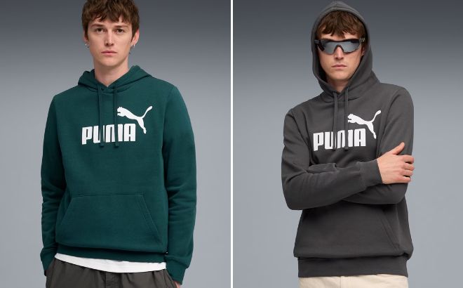Puma Essentials Mens Hoodie Puma Essentials Mens Hoodie