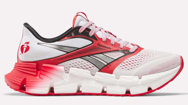 Reebok Mens FloatZig 2 AHA Running Shoes Reebok Mens FloatZig 2 AHA Running Shoes