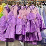 Sams Club Halloween Costumes Disney Princess
