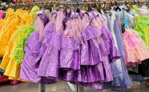 Sams Club Halloween Costumes Disney Princess