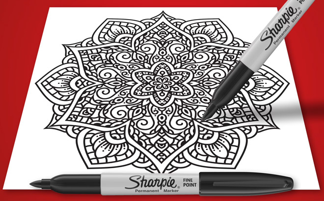 Sharpie Permanent Markers 1