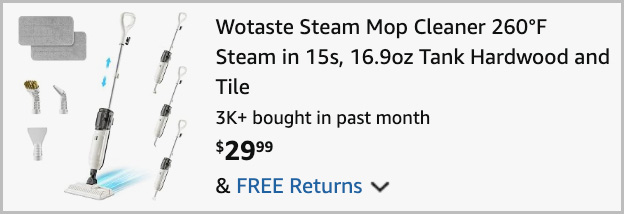 Steam Mop Cleaner at Checkout