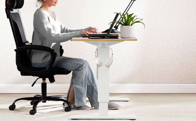 Sweetcrispy Electric Standing Desk