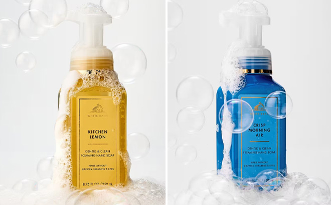 Two Bottles of Soap Two Bottles of Soap