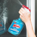 Windex Glass and Window Cleaner Spray