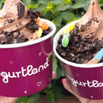 Yogurtland Dirt Cups