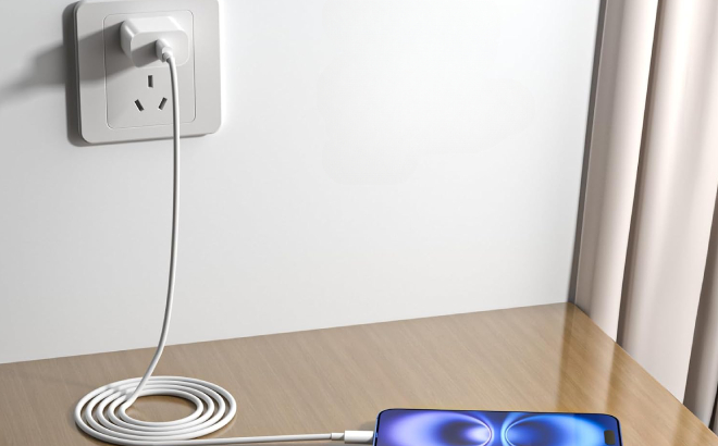 iPhone Charger